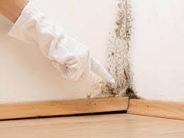 Best Basement Mold Removal  in Pelham, AL